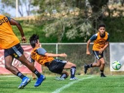 Hasta ahora la UdeG ha contratado tres refuerzos de cara al Apertura 2019. TWITTER/@LeonesNegrosCF