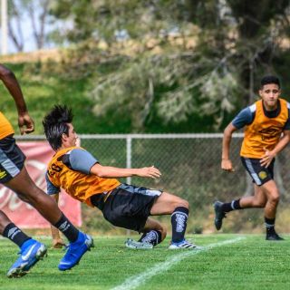 En Leones Negros extrañan a excompañeros