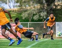 Hasta ahora la UdeG ha contratado tres refuerzos de cara al Apertura 2019. TWITTER/@LeonesNegrosCF