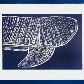 Arte en pro de los océanos 