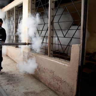 Pese a aumento de casos, Jalisco sin insecticida para prevenir el dengue
