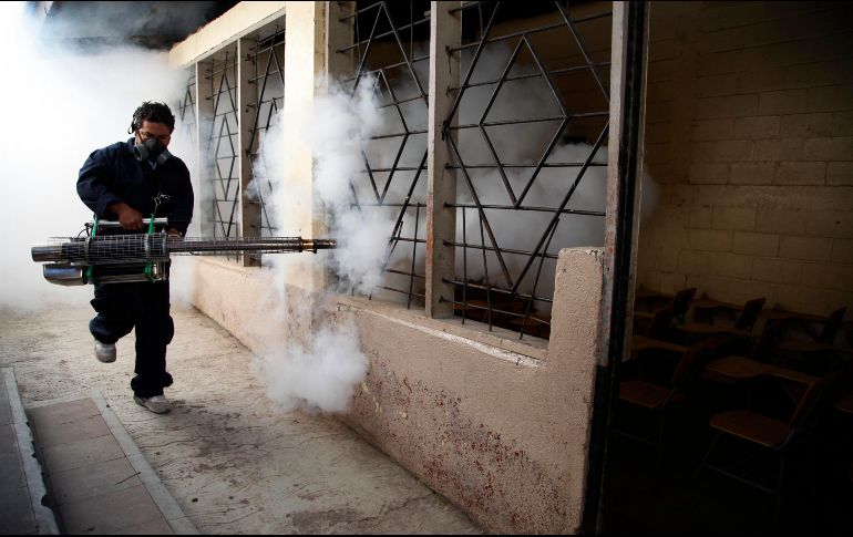 Explican que, en lo que va del año, las acciones para prevenir los brotes de dengue en Jalisco fueron hechas con recursos estatales y,  hasta la fecha, han fumigado poco más de 15 mil hectáreas, en comunidades vulnerables, principalmente de Puerto Vallarta y de Autlán. AP/ ARCHIVO