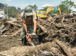 La tragedia de San Gabriel presuntamente ocurrió por tala clandestina para habilitar huertas de aguacate. ESPECIAL