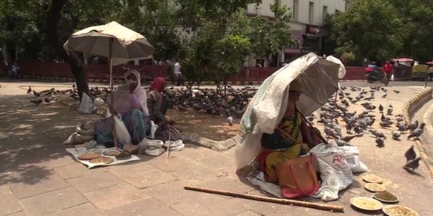 Intenso calor ahoga a los m&aacute;s desfavorecidos de la India