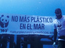 La CNDH hace énfasis en la necesidad de actualizar la Política Nacional de Mares y Costas de México para diseñar e implementar mecanismos que ayuden a cuidar los ecosistemas marinos y costeros. EFE/ ESPECIAL