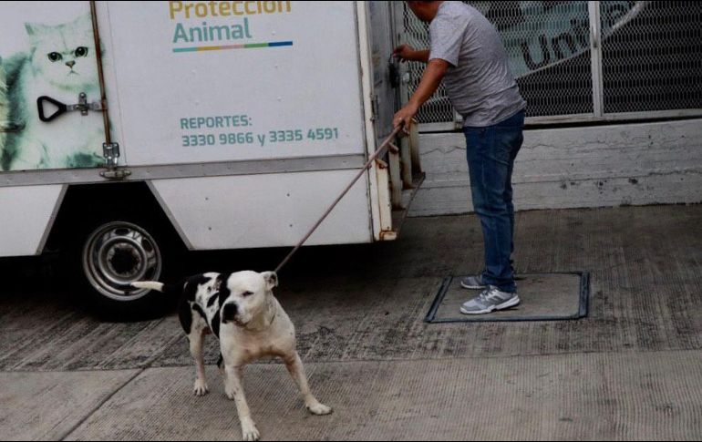 Durante su estancia, 