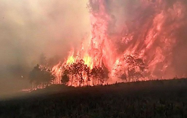 Autoridades informan que han liquidado otros tres incendios en Mascota, Talpa de Allende y Zapopan. EFE / ARCHIVO