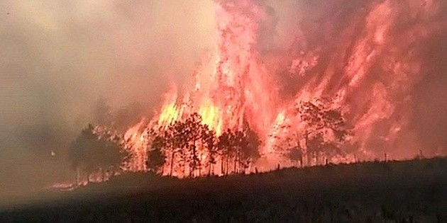 Reportan tres incendios forestales activos en Jalisco