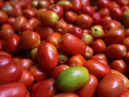 La CNPR sostiene que esa situación genera millonarias pérdidas para los productores que es superior a 350 millones de dólares para los exportadores mexicanos. NTX / ARCHIVO