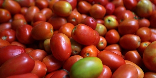 Productores piden ahora retirar arancel al jitomate mexicano