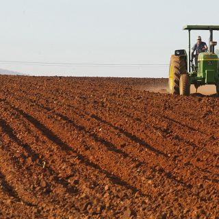Niegan acuerdo con EU sobre importación de productos agropecuarios
