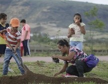 Desde hace cuatro años la empresa comenzó con las reforestaciones como parte de las acciones para fomento de la ecología y contra el cambio climático. EL INFORMADOR / F. Atilano