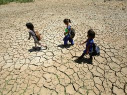 India alcanzó una temperatura de hasta 45 grados en varias regiones.  AP / ARCHIVO