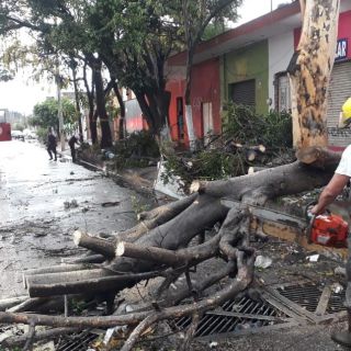 Lluvia y granizo dejan afectaciones en la ZMG