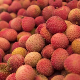 Sube a 100 cifra de muertos por encefalitis en la India