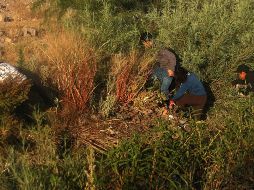 Migrantes cruzan hacia EU pese a la presencia de miembros de la Policía Federal de México, quienes patrullan debajo del puente internacional en el Río Bravo este martes, en Ciudad Juárez. EFE/D. Peinado