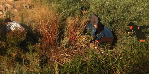 M&eacute;xico evitar&aacute; ingreso de migrantes en 12 puntos de la frontera sur