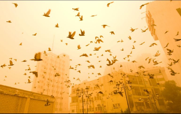 Los meteorólogos esperan que las temperaturas sigan subiendo durante el verano en la región. AFP/ARCHIVO