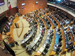 En este periodo extraordinario, senadores deberán desahogar nueve temas y un paquete de nombramientos. EFE/M. Hartz