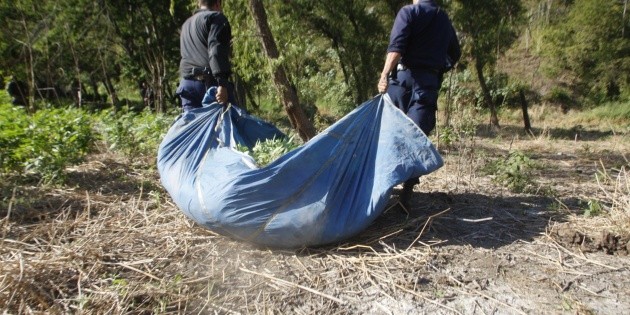 Aseguran campamento clandestino en Armer&iacute;a, Colima