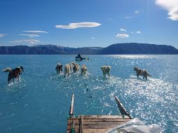 El científico tomó la fotografía mientras realizaba una exploración de rutina en el noroeste de Groenlandia hace unos días. EFE / Steffen M. Olsen / Instituto Meteorológico Danés