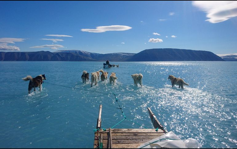El científico tomó la fotografía mientras realizaba una exploración de rutina en el noroeste de Groenlandia hace unos días. EFE / Steffen M. Olsen / Instituto Meteorológico Danés