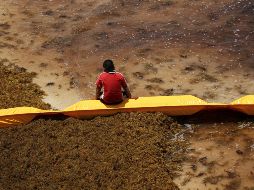 Un niño descansa sobre una barrera de contención de sargazo este martes, en playa del Carmen. EFE/J. Valdivia
