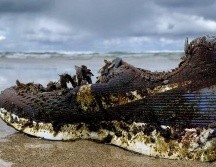 ¿De dónde vienen los zapatos? TRACEY WILLIAMS