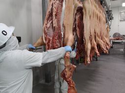 Entre las irregularidades encontradas está la falta de aturdimiento previo al sacrificio de animales. EL INFORMADOR/G. GALLO