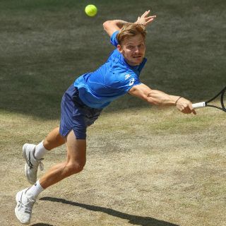 Goffin y Federer disputarán la final de Halle