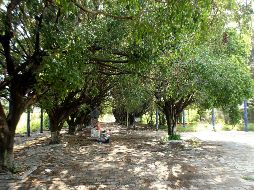 El programa #100ParquesGDL arrancó este año y ha trabajado por diversas zonas de ZMG. EL INFORMADOR