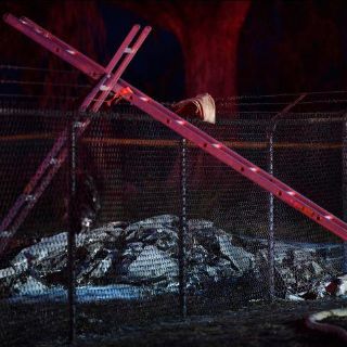 Suman once muertos por desplome de avión en Hawái