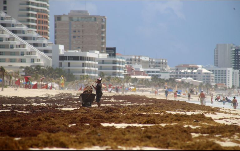 El sector hotelero en el Caribe mexicano reporta pérdidas en los primeros cinco meses del año, respecto al mismo periodo de 2018, tras una caída de la ocupación del 6% debido al sargazo, la violencia y la falta de promoción. EFE/ARCHIVO