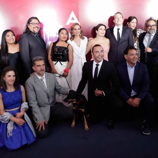 "Roma" y "Viva el rey" triunfan en el Ariel