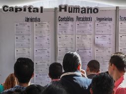 La tasa de desocupación se refiere al porcentaje de la Población Económicamente Activa que no trabajó siquiera una hora durante la semana de referencia de la encuesta. EL INFORMADOR/ ARCHIVO