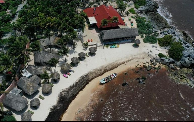Hay rincones de algunas playas del Caribe mexicano en las que la acumulación de sargazo es más evidente. GETTY IMAGES