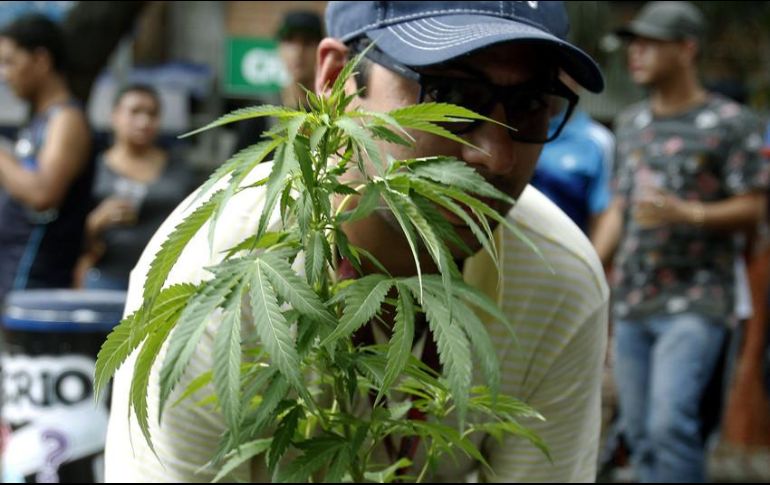 Sobre liberar o permitir el uso de ciertas drogas, el Presidente aclara que ello es parte de un plan que va por etapas, porque 