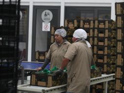 Con series ajustadas por estacionalidad, las importaciones totales mostraron una variación mensual de 1.81%. EL INFORMADOR/ ARCHIVO