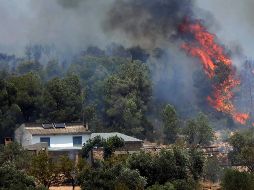 Las llamas se propagaron rápidamente por el viento y las altas temperaturas que asolan estos días el valle del Ebro. EFE/J. Sellart