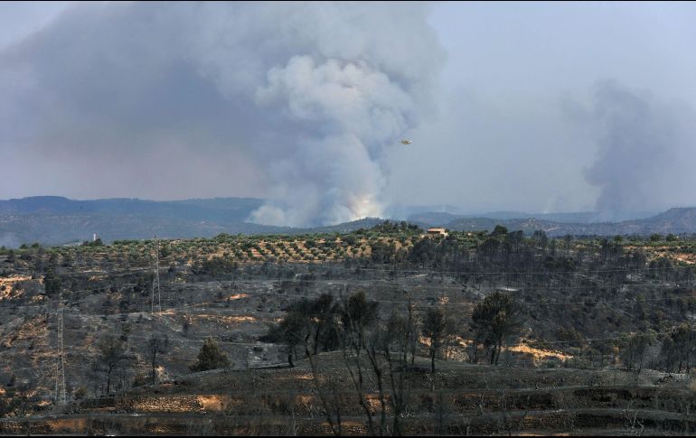 Las llamas se propagaron rápidamente por el viento y las altas temperaturas que asolan estos días el valle del Ebro. EFE/J. Sellart