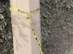 Elementos de la Fiscalía General del Estado se encargaron de las diligencias de ley. EL INFORMADOR/ARCHIVO