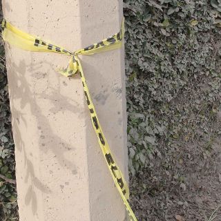 Hallan cuatro cuerpos desmembrados en el sur de Veracruz