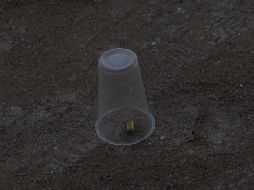  Policías resguardan el establecimiento, mientras la Fiscalía del Estado efectúa diligencias para esclarecer lo sucedido. EL INFORMADOR/ ARCHIVO