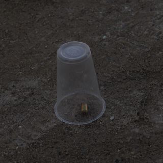 Ataque armado en San Luis Potosí deja dos muertos