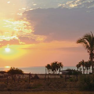 Fotogalería: Cabo Pulmo, paraíso natural