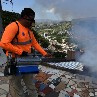 Honduras declara "emergencia nacional" por dengue que deja decenas de muertos