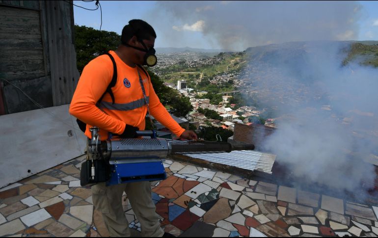 Ciudadanos salen de casa con sus mascotas en brazos mientras brigadistas fumigaban sus hogares con máquinas de mano. AFP / O. Sierra