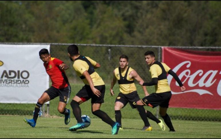 El próximo partido amistoso de los Leones Negros será el 6 de julio ante el Club Tampico. TWITTER/@LeonesNegrosFC