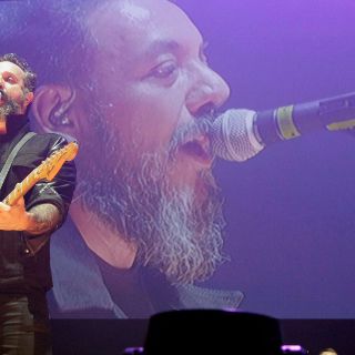 Molotov, siempre irreverentes