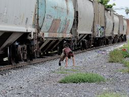 Este tren es el que usan los centroamericanos para intentar llegar a los Estados Unidos, y recorre varios estados. EL INFORMADOR/ARCHIVO